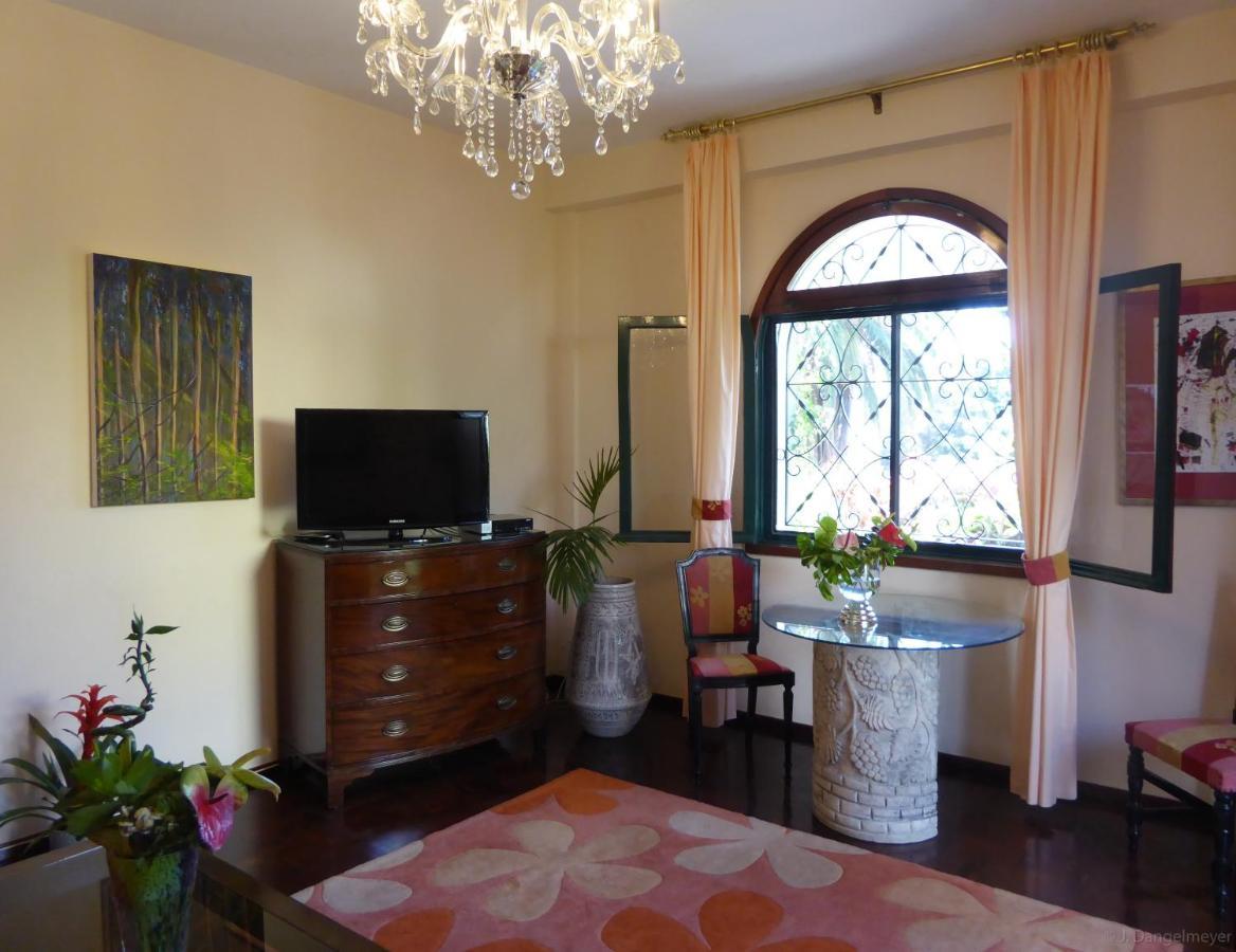 קאניקו Villa Erika Madeira מראה חיצוני תמונה