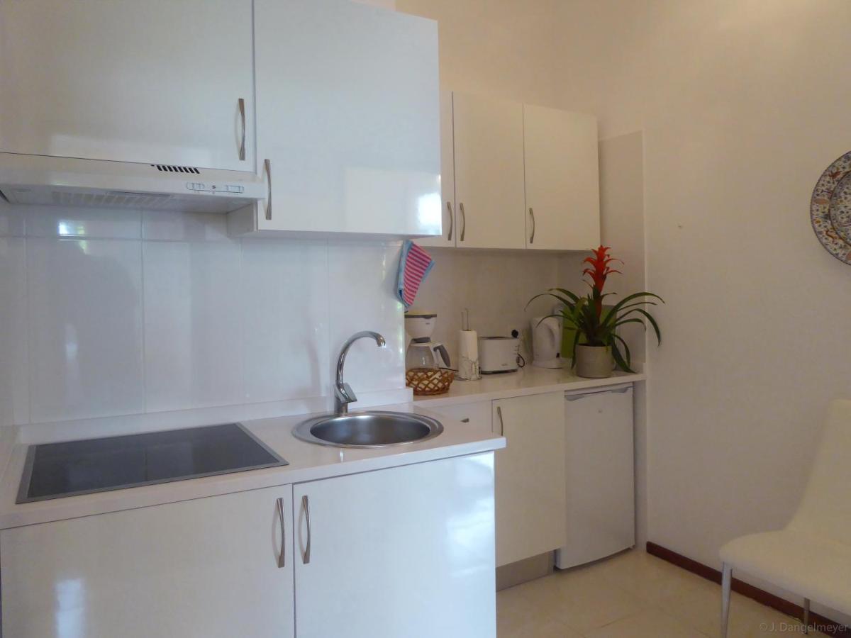 קאניקו Villa Erika Madeira מראה חיצוני תמונה