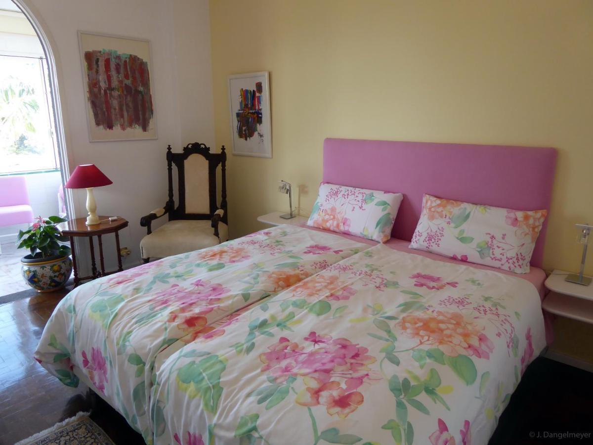 קאניקו Villa Erika Madeira מראה חיצוני תמונה