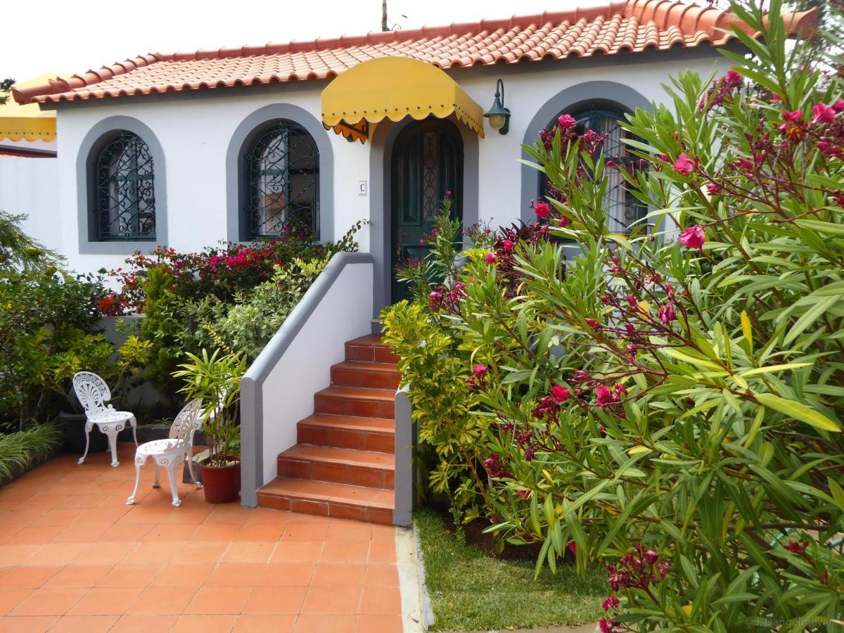 קאניקו Villa Erika Madeira מראה חיצוני תמונה