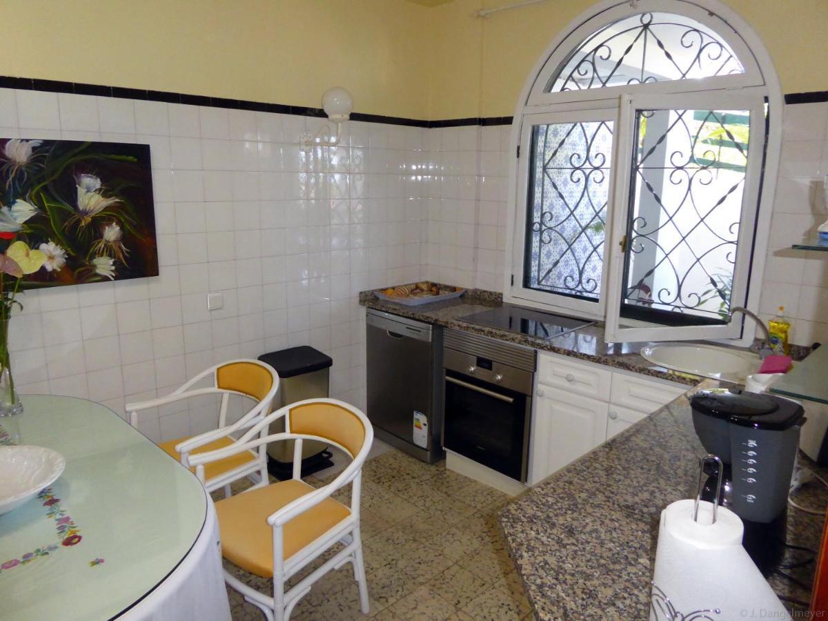 קאניקו Villa Erika Madeira מראה חיצוני תמונה