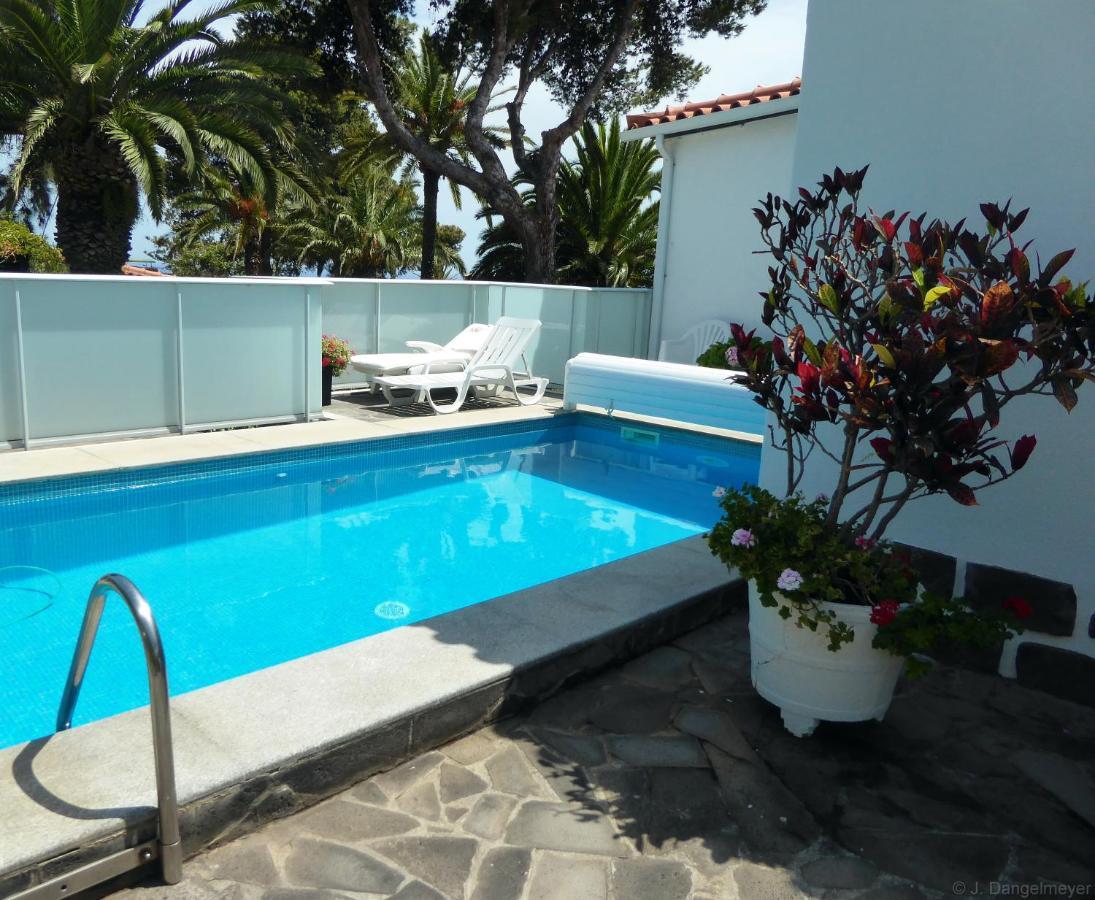 קאניקו Villa Erika Madeira מראה חיצוני תמונה