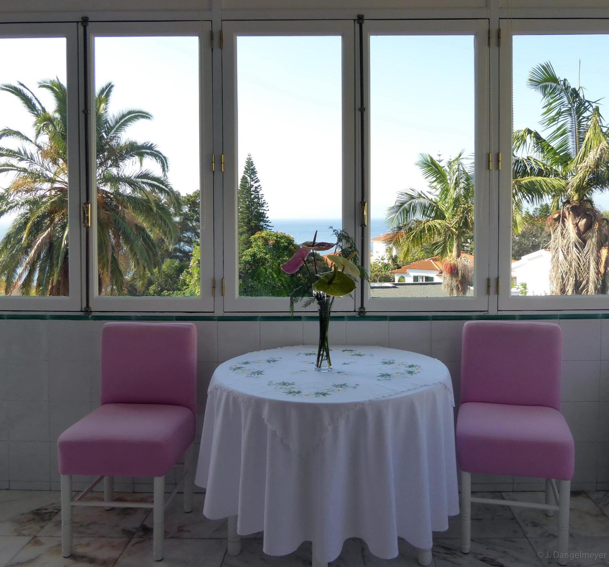 קאניקו Villa Erika Madeira מראה חיצוני תמונה