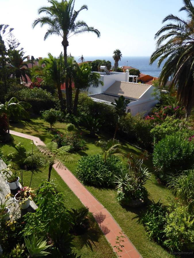קאניקו Villa Erika Madeira מראה חיצוני תמונה