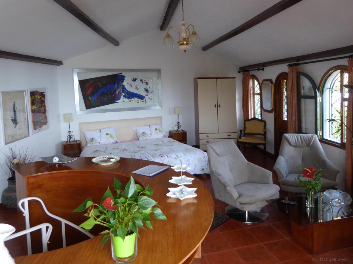 קאניקו Villa Erika Madeira מראה חיצוני תמונה