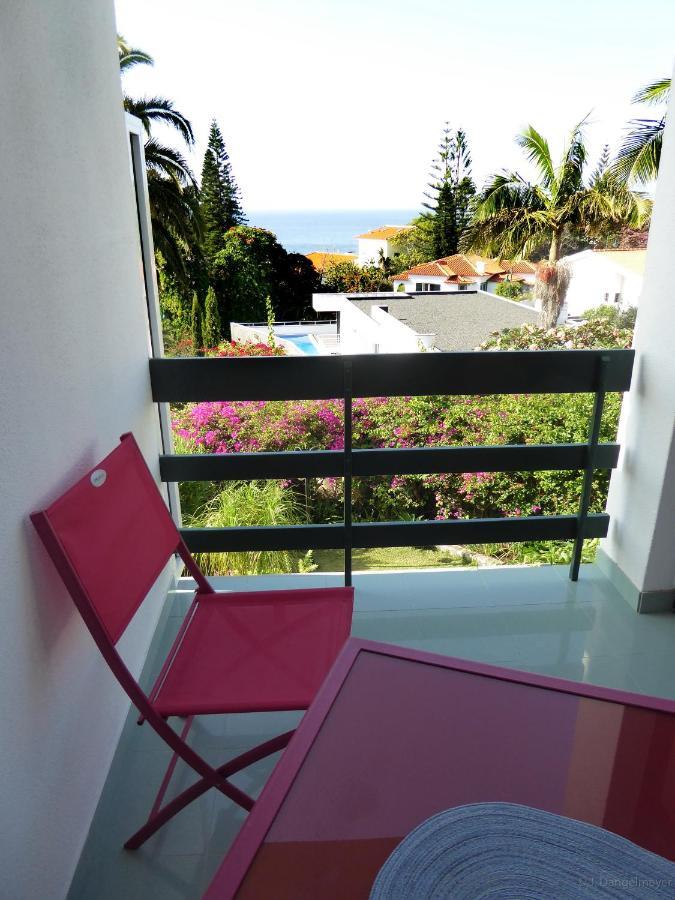 קאניקו Villa Erika Madeira מראה חיצוני תמונה